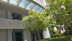 Novena Suites (D11), Apartment #127806762